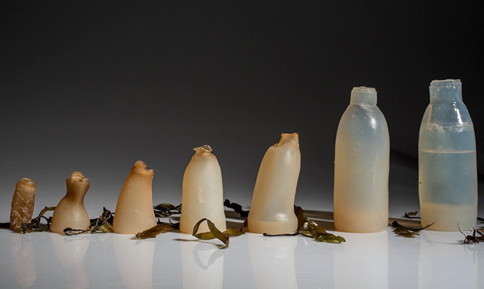 biodegradable-algae-water-bottle-ari-jonsson-5